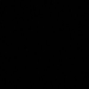 Meet your Posher, Jesus